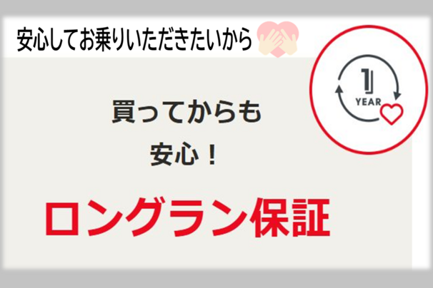 ロングラン図1