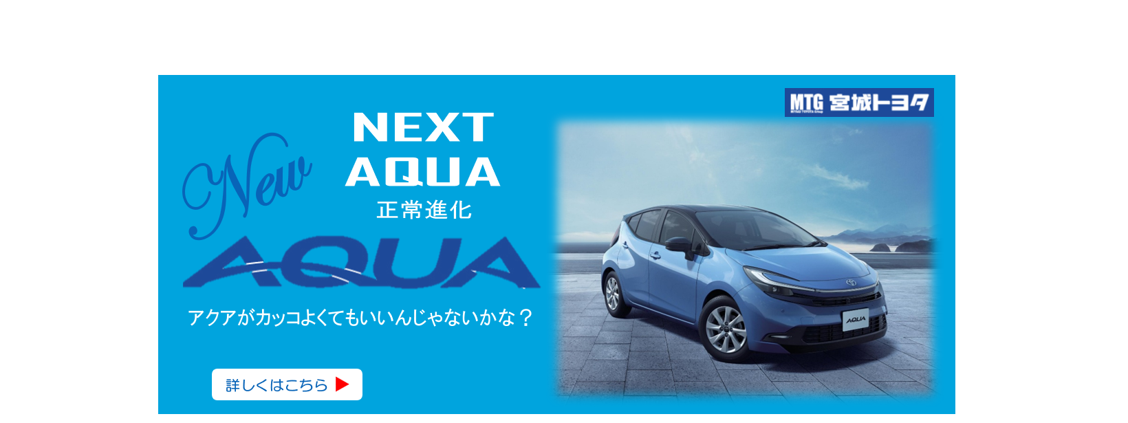 新型アクア バナー大
