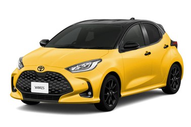 ブラック〈202〉×マスタード〈5C5〉［M25］フロントサイド